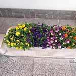 Con Giardino Gemona غيمونا ديل فريولي